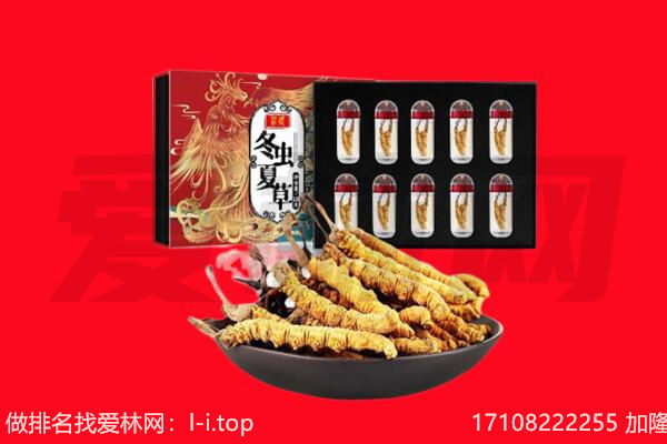 海南市回收虫草.jpg